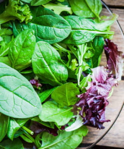 Gourmet Soups and Salads Workshop